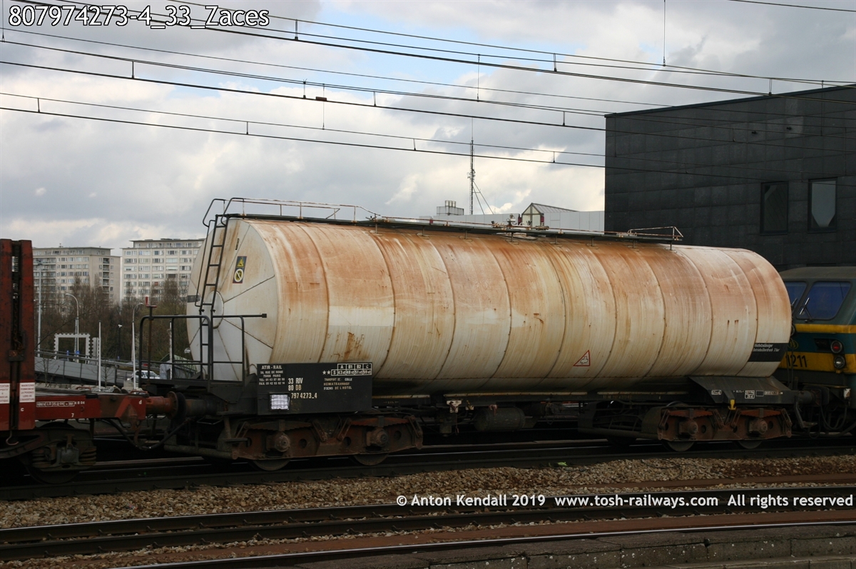 807974273-4_33_Zaces.jpg